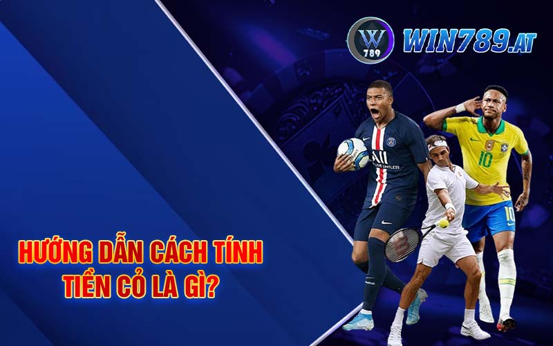 Tiền Cỏ Là Gì - Cách Tính Tiền Cỏ Bóng Đá Dễ Hiểu Tại Win789 3 Hướng dẫn cách tính tiền cỏ là gì?