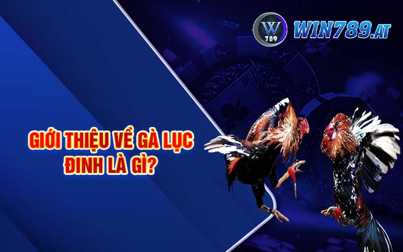 Gà Lục Đinh - Tìm Hiểu Chi Tiết Về Cách Nuôi Gà Hiệu Quả 2 Giới thiệu về gà lục đinh là gì?