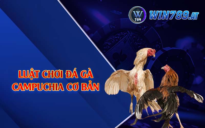 Đá Gà Campuchia - Loại Hình Được Kê Thủ Yêu Thích 3 Luật chơi đá gà Campuchia cơ bản