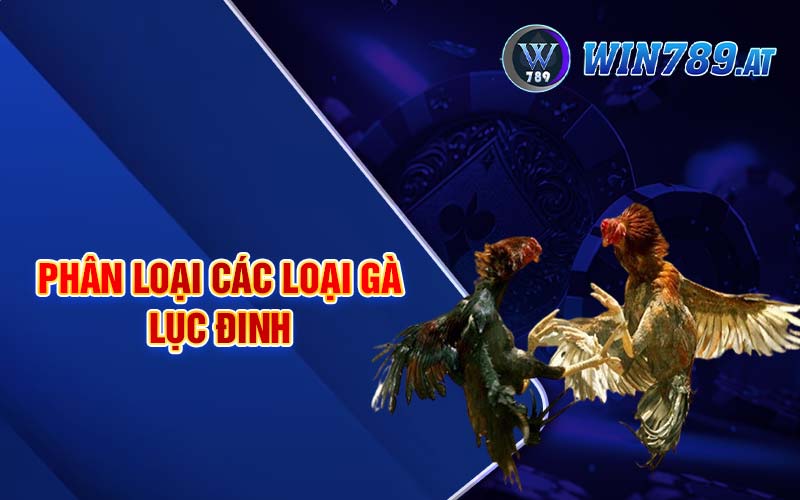 Gà Lục Đinh - Tìm Hiểu Chi Tiết Về Cách Nuôi Gà Hiệu Quả 4 Phân loại các loại gà lục đinh