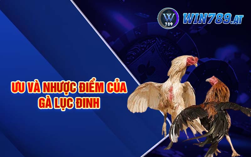 Gà Lục Đinh - Tìm Hiểu Chi Tiết Về Cách Nuôi Gà Hiệu Quả 3 Ưu và nhược điểm của gà lục đinh