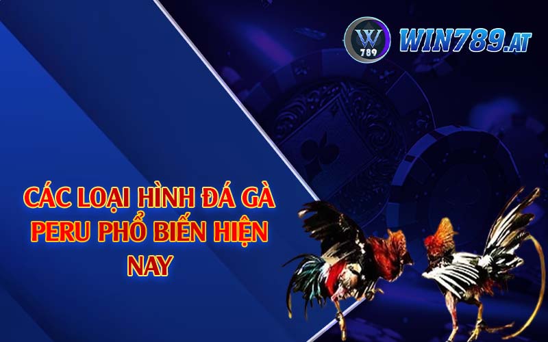 Đá Gà Peru - Loại Hình Gà Đá Được Yêu Thích Tại Win789 4 Các loại hình đá gà Peru phổ biến hiện nay