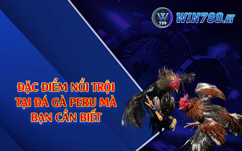 Đá Gà Peru - Loại Hình Gà Đá Được Yêu Thích Tại Win789 3 Đặc điểm nổi trội tại đá gà Peru mà bạn cần biết