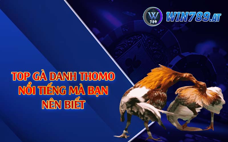 Gà Danh Thomo - Những Chiến Bất Bại Nổi Tiếng Tại Win789 4 Top gà danh Thomo nổi tiếng mà bạn nên biết