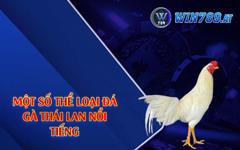 Đá Gà Thái Lan - Chiến Kê Bậc Nhất Đông Nam Á 2024 4 Một số thể loại đá gà Thái Lan nổi tiếng